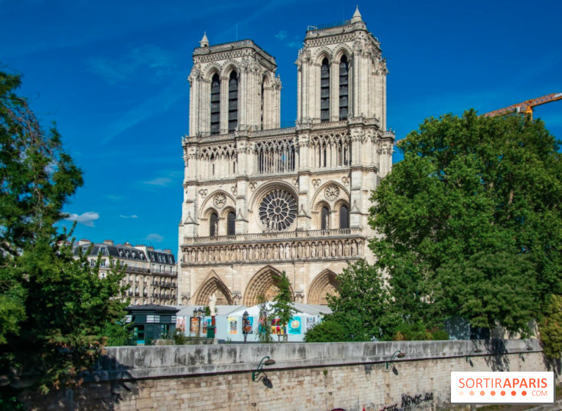 Que faire vers Notre-Dame, l'Île de la Cité et l'Île Saint-Louis : Nos bons plans et adresses