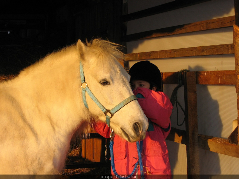 Journée du cheval : des animations équestres gratuites pour les enfants à travers l'Ile-de-France