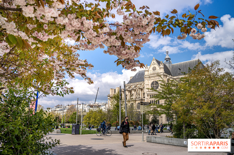 Que faire du côté de Châtelet-Les Halles et de Beaubourg : Nos bons plans et meilleures adresses