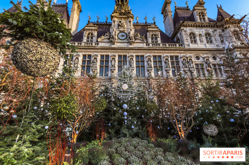 Le parvis de l’Hôtel de Ville de Paris se transforme en forêt urbaine